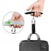 Travel Luggage Scale Silver